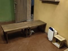 -猫猫幼稚园·撸猫·桌游·电玩