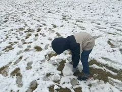 -汉长安城未央宫国家考古遗址公园