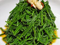 -蒙料·手把肉(望京店)