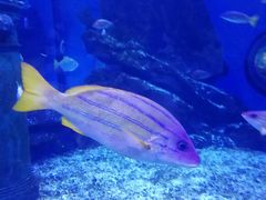 -海合安武汉极地海洋公园