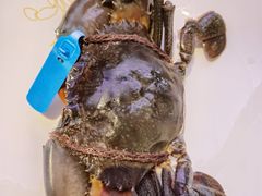 -Ministry of Crab•MOC(交子大道店)