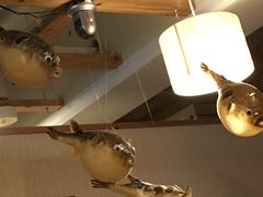 -玄品河豚(那覇國際通里之関)