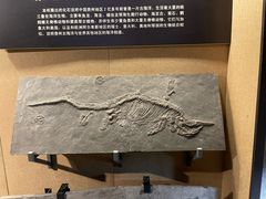 -中华赏石园