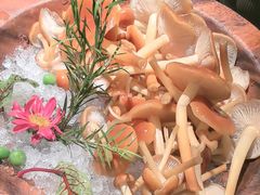 -季季山·云南野生菌火锅(上海首店)