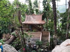 -北京植物园-展览温室
