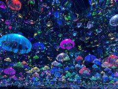 -上海梵高星空艺术馆(南京路旗舰店)