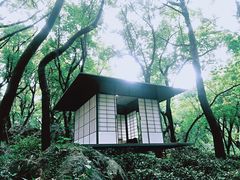 -中国茶叶博物馆(双峰馆区)