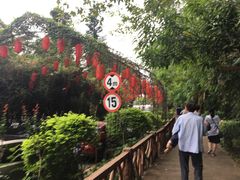 -观澜山水田园