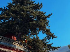 -五台山风景名胜区