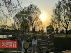-莫子山公园