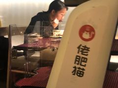 -佬肥猫(周浦万达店)