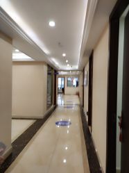 -碧莲盛·不剃发植发