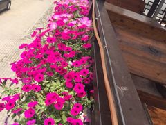 农家乐-旺山景区