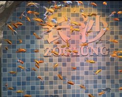 -Zoolung Zoolung动物主题公园(海信广场店)