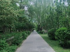 -元大都城垣遗址公园