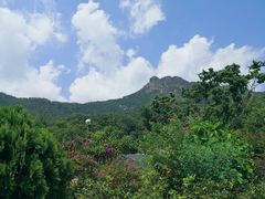 -狮子山郊野公园