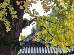 -常熟方塔园