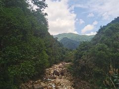 -姑婆山旅游区