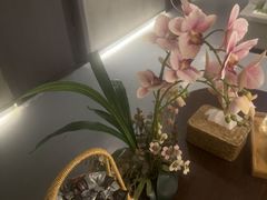 -施奈儿.洗头頭療.按摩SPA.采耳(上梅林店)