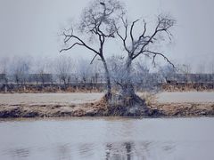 -北运河水利风景区
