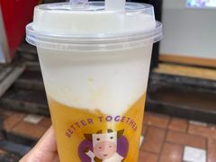 -一只酸奶牛(八一路店)