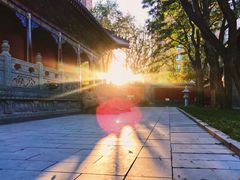 -护国法轮寺