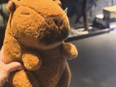 -山之屋炭火烧肉·生啤畅饮(大朗万科中央公园店)