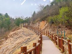 -白水寺森林公园