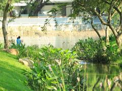 -人民公园(罗湖区)