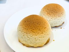 雪顶雄峰-利苑酒家(金宝店)
