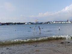 -烟墩角天鹅湖