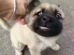 -金色艳阳天•粤菜 淮扬菜(古平岗店)