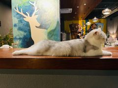 -咖法森林·咖啡  酒吧(天河店)