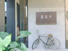 -猫里有甜