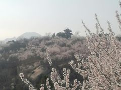 -白水寺森林公园