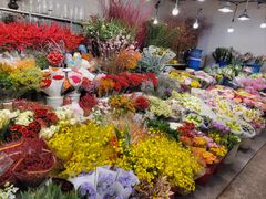 -双季花艺园艺市场(浦东店)