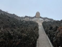 -蒙山大佛景区
