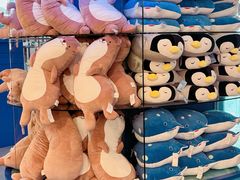 -上海海洋水族馆