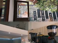 -SAFARI COFFEE