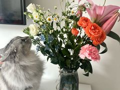 -花屿鲜花(淡水店)