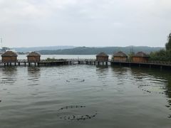 -昆明柏联SPA温泉