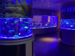 -上和臻品中国菜(花园街店)