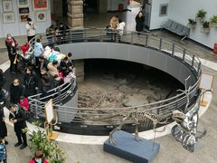 -自贡恐龙博物馆