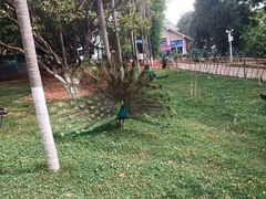 -昆明动物园
