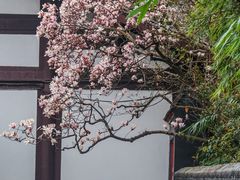 -成都杜甫草堂博物馆