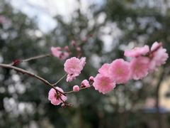 -中山公园