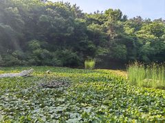 -天目湖山水园