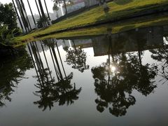 -广西壮族自治区药用植物园