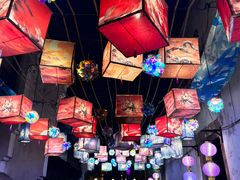 -横店影视城梦幻谷园区