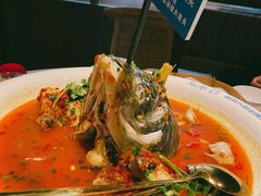 -坛宗剁椒鱼头(河西王府井店)